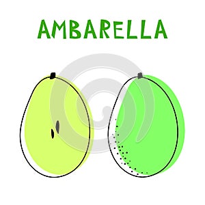 Set of two isolated ambarellas. Vector drawing of rare topucal exotic fruit - ambarella. Spondias dulcis, mombin, pomme cythere.