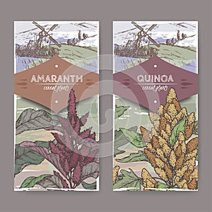 Set of two labels with Amaranthus cruentus aka amaranth and Chenopodium quinoa color sketch. Cereal plants collection. photo
