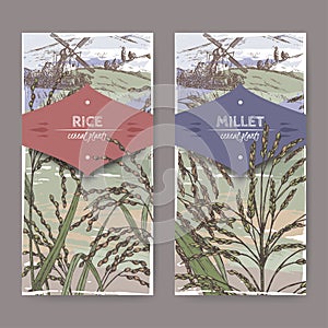 Set of two labels with Asian rice aka Oryza sativa and Proso millet aka Panicum miliaceum color sketch. photo