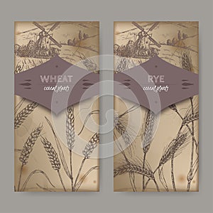 Set of two labels with bread wheat aka Triticum aestivum and rye aka Secale cereale sketch. Cereal plants collection. photo