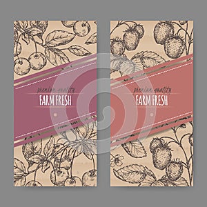 Set of two labels with fresh cherries and strawberries.