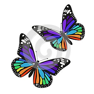 Set of two rainbow butterflies isolated on a white background. Vector graphics