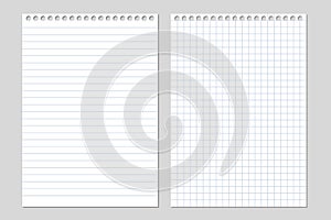 Set of two realistic vector illustration of blank sheets of square and lined paper from a block isolated on a gray background