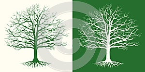 Set of two silhouettes of a bare tree . Vector illustration.
