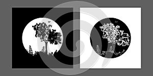 Set of two square cover design silhouettes of the tree, bush and bird for design, isolated on the white