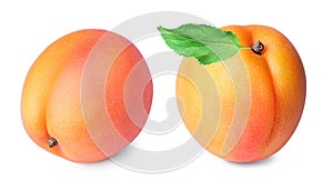 Set of two whole Apricot fruits with leaf on white background