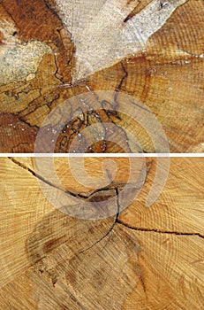 Set of wood textures