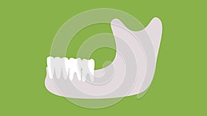 Set of type of wisdom tooth in mandible or lower jaw