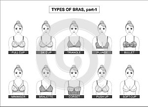 Set of types of female bras