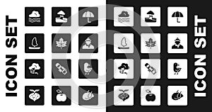 Set Umbrella, Leaf or leaves, Tree, Windy weather, Autumn clothes, Mushroom, Little chick and Kite icon. Vector