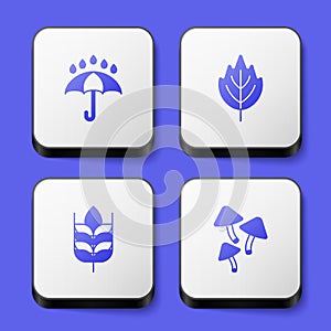 Set Umbrella and rain drops, Leaf, Wheat and Mushroom icon. White square button. Vector