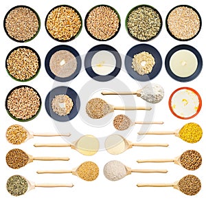 Set of uncooked and cooked various wheats isolated
