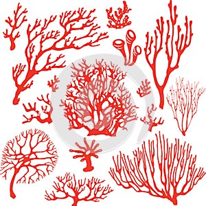 Set of underwater coral reef plants.