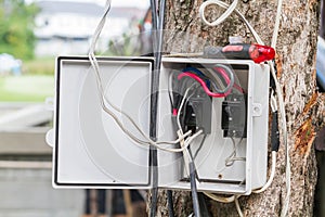 Set up Two switch in box on the tree.