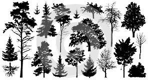 Set of a variety of forest trees. Isolated on white background. Collection of silhouette vector illustration