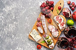 Set from a variety of snacks, Bruschetta or authentic traditional Spanish tapas, red wine and grapes on a gray background. The vie