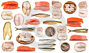 Set of varios smoked fishes cut out on white