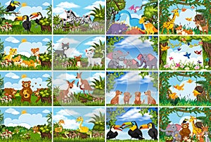 Set of various animals in nature scenes