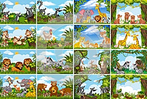 Set of various animals in nature scenes