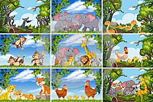 Set of various animals in nature scenes