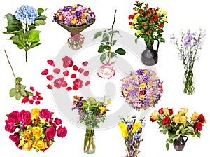 Set of various blooms and bouquets of flowers