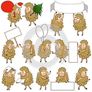 Set of various cartoon sheeps in various poses