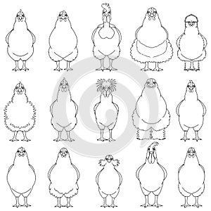 Set of various chicken line art