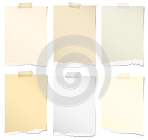 Set of various colors torn note papers with