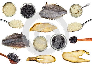 Set of various cooked and raw halibut and roe