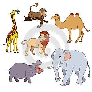 Set of various cute animals, safari animals. Vector illustration isolated on white