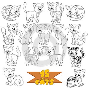 Set of various cute cats