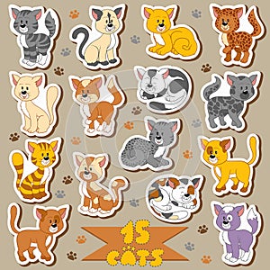 Set of various cute cats, vector stickers