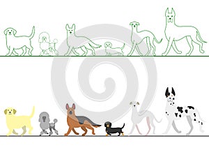 Set of various dogs walking in line