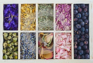 Set of various dry herbs and flowers. Natural background
