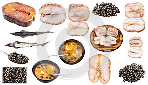 Set of various foods from sturgeon fishes isolate photo