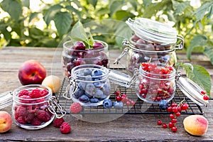 set of various fresh seasonal berries on garden table