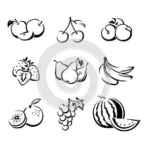 Set of various fruit. Vector black and white contour drawing.