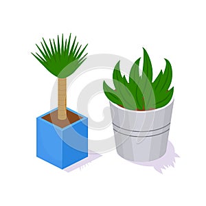 Set of various garden 3D shrubs, flower plants from park.