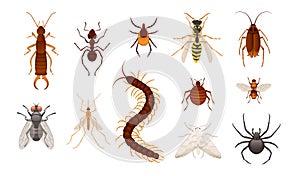Set of various insects dangerous and harmful to humans vector illustration on white background