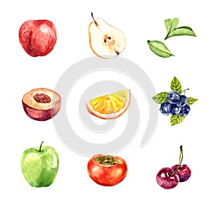 Set of various isolated, watercolor and hand drawn fruits illustration on white background