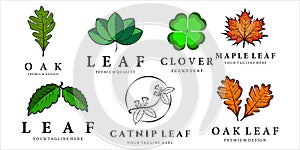 set of various leaf logo vector illustration template icon design. bundle collection clover oak maple catnip leaf logo concept