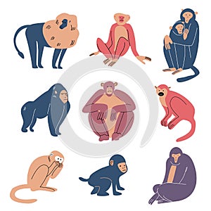 Set of various monkeys doing everyday things vector illustration