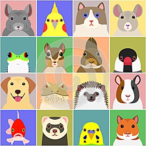 Set of various pet animals face