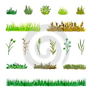 Set of Various Plant Elements Grass, Bushes, Stems, Watercolor Hand Drawn and Painted