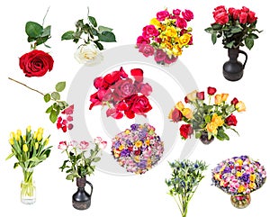 Set of various roses and flowers in vases isolated