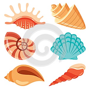 Set Of Various Sea Shells