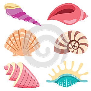 Set Of Various Sea Shells