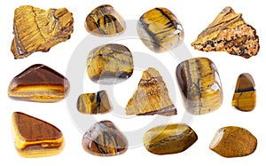 Set of various tiger`s eye gemstones cutout