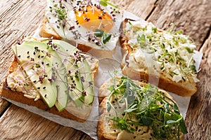 Set of various toasts with hummus, avocado, feta cheese, microgreen and egg closeup. horizontal photo