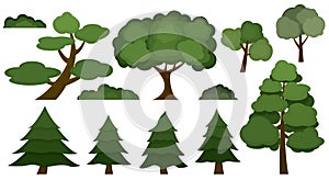 Set of various trees and bushes isolated on white background